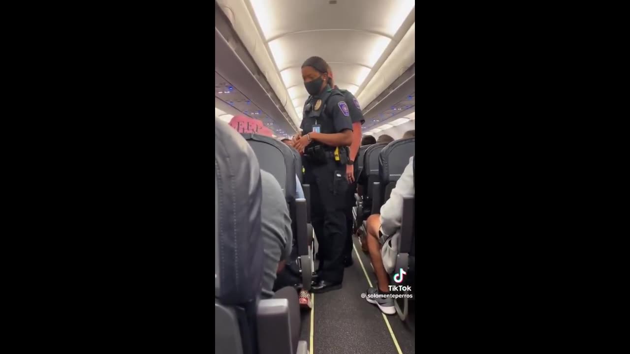 Snake On A Plane