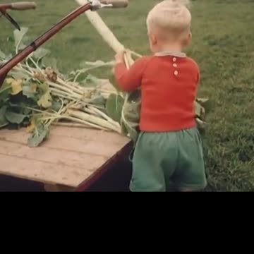 At 2 he's already smarter than most highschool kids these days