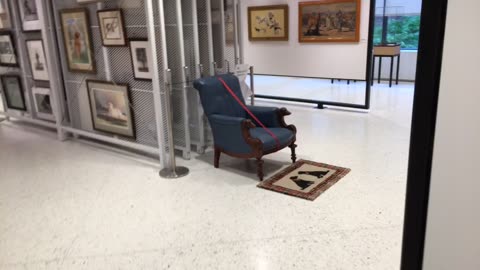 AKC Museum of the Dog 6 long (Manhattan, 2019)