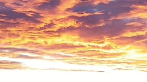 Gratitude Turns What We Have Into Enough 🌅✨ | Motivational Short
