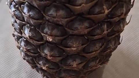 Ananas