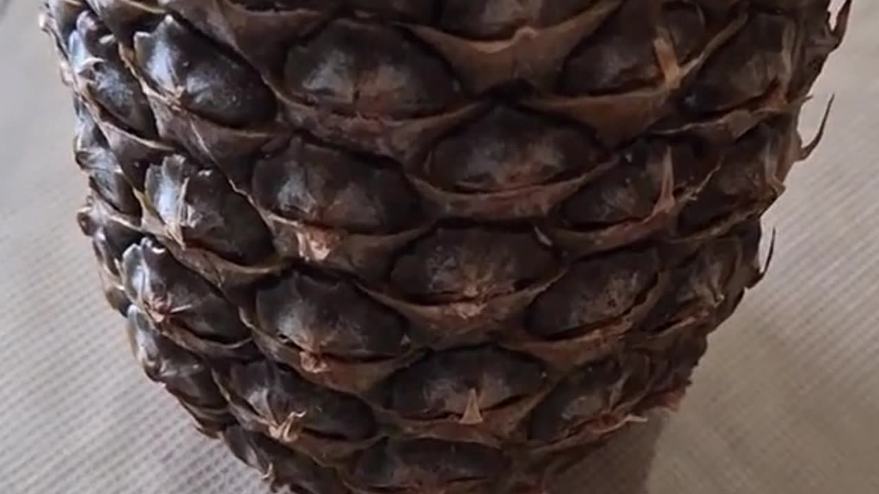 Ananas