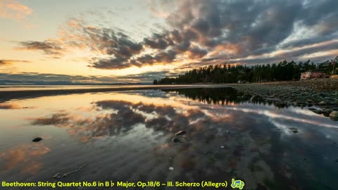 Beethoven: String Quartet No.6 in B♭ Major, Op.18/6 – III. Scherzo (Allegro) Energetic Chamber Music