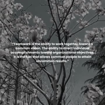 Teamwork is the ability to work together toward a common vision.