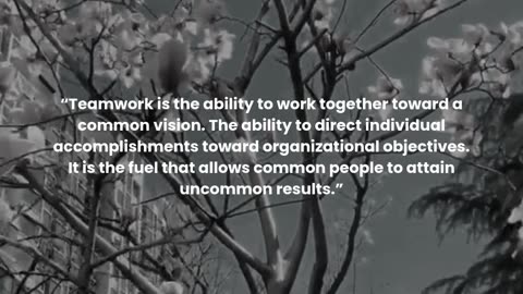 Teamwork is the ability to work together toward a common vision.