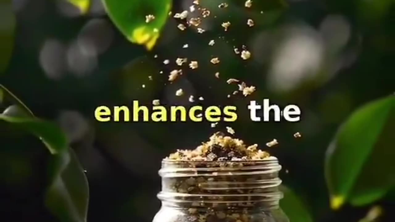 Strengthen your immune system