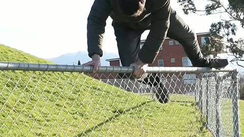 How Animal Get Over The Fence with (Emojis) 😂