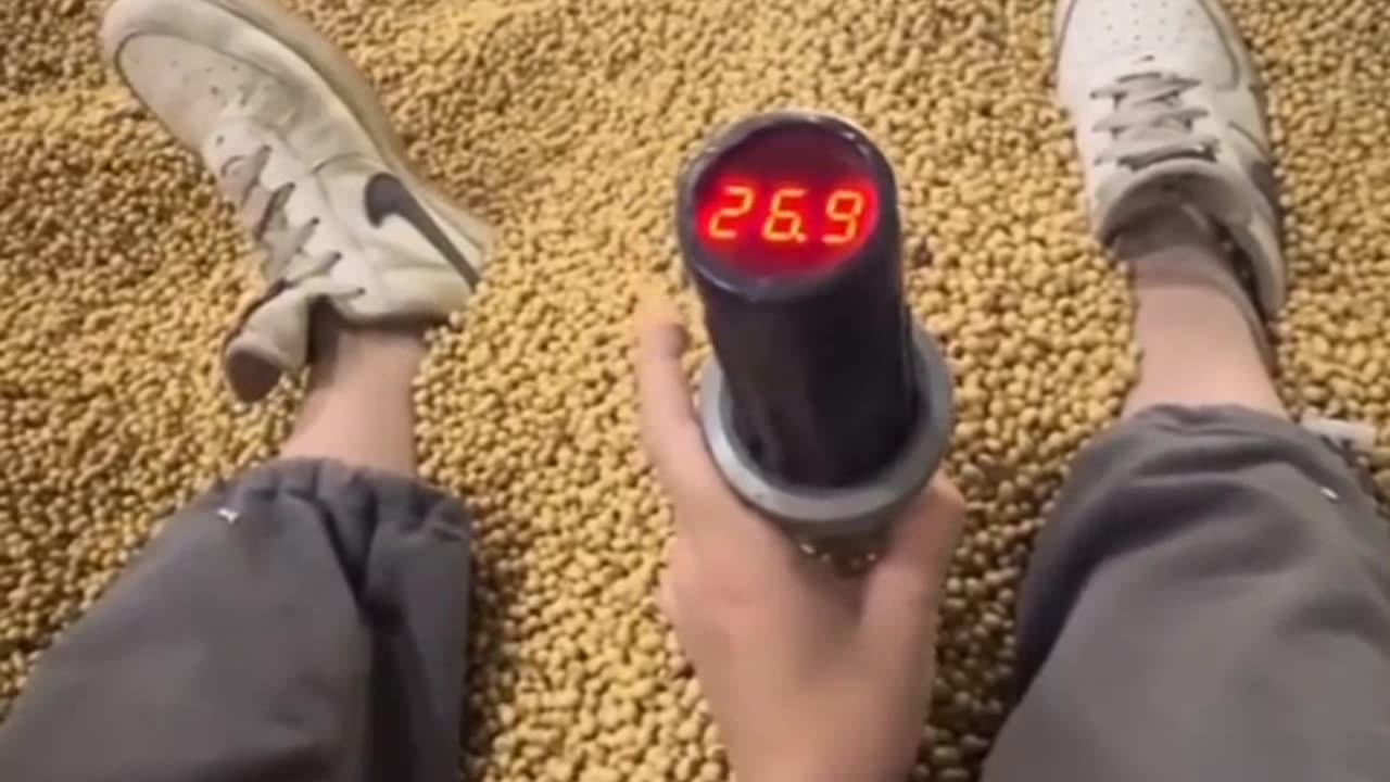РАБОТА НА ЗЕРНЕ🌾 ЗП 2800$-3100$ В ИЗРАИЛЬ🇮🇱