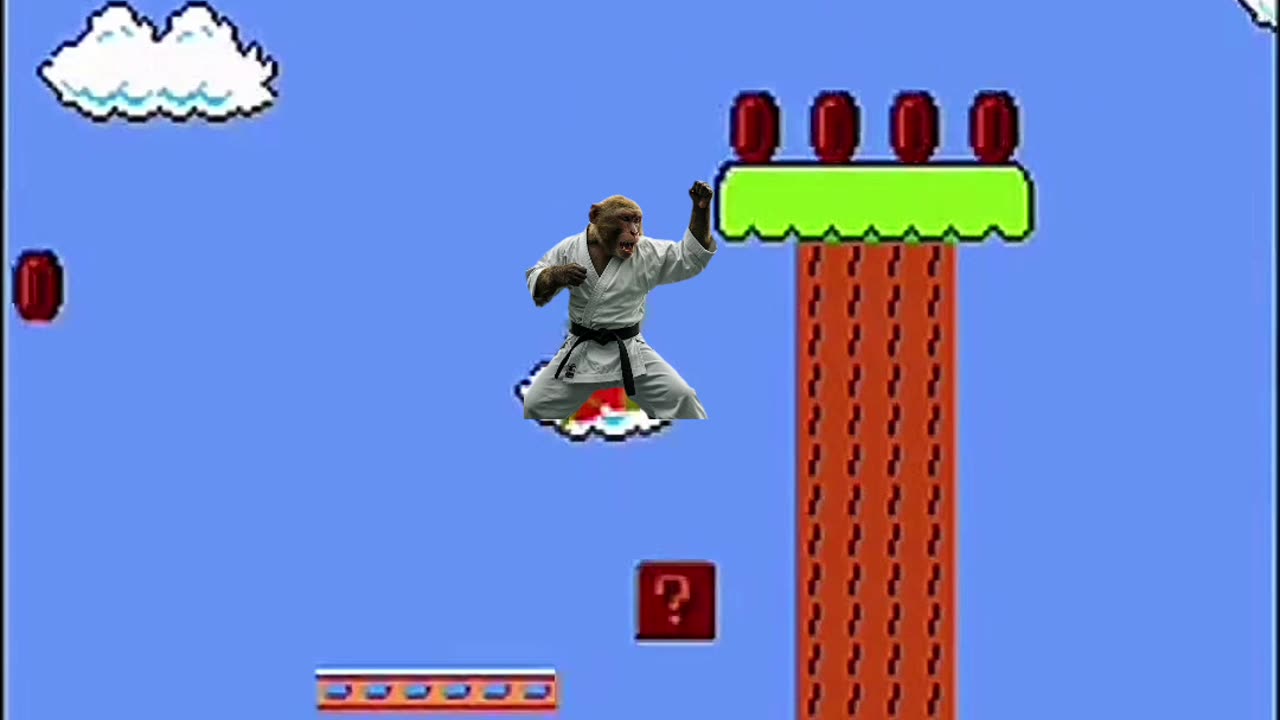 MIZUKARATE SUPERMARIO Bros