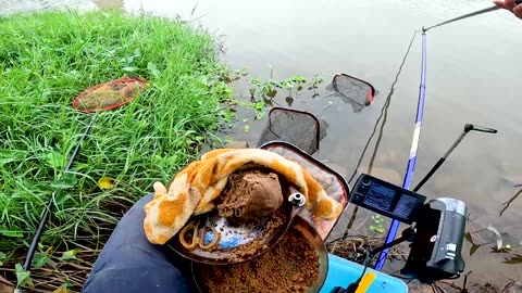 Eel Night Trapping in River Mud Flats