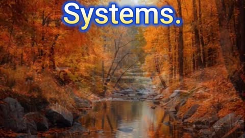 You Don’t Need Motivation—You Need Structure