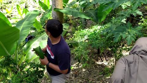 Exploring Steep Green Fields – A Refreshing Adventure in Nature