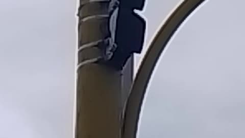 More EMFs on the road causing cancer.