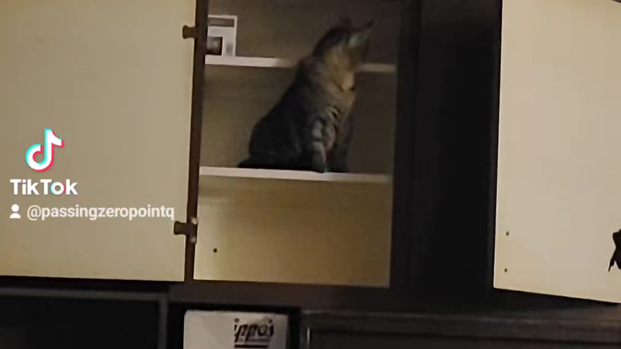 A Video TikTok has been Silencing.