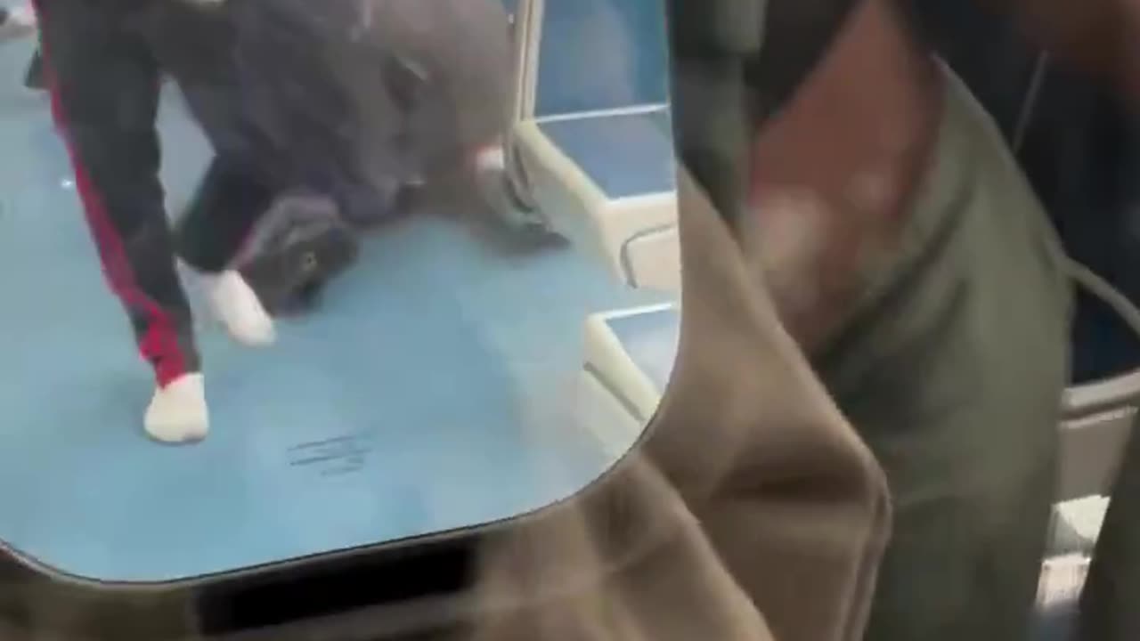 Blk boys attack a yt boy on an American subway