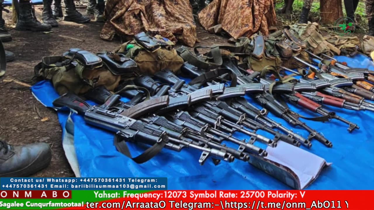 Gabaasa Tarkaanfii ONM-ABO Caamsaa 25-2025 itti dhiyaadhaa!