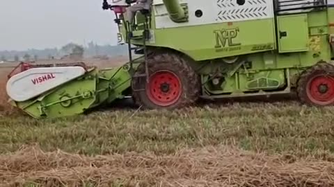 Vishal 435 dhaan ka Kendra