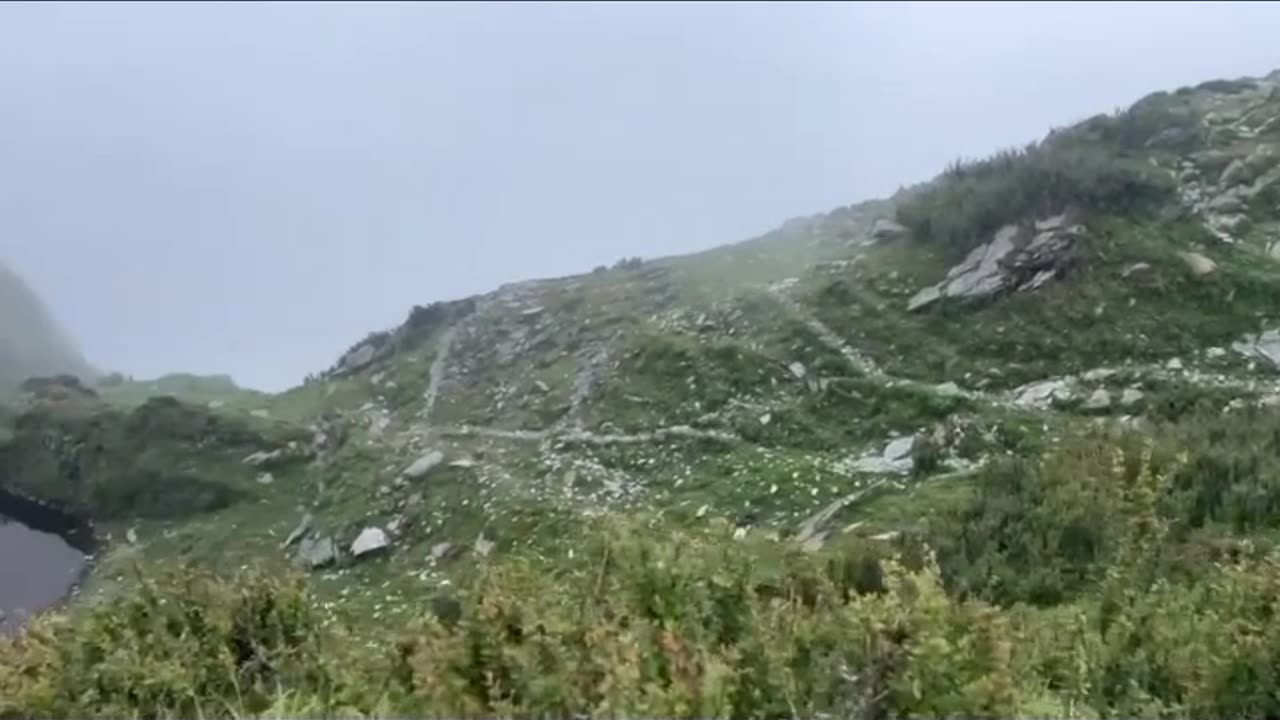 Beautiful nature love 💕