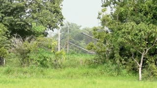 Thai army fires artillery at Cambodia border as tensions rise