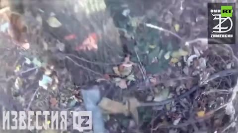 War in Ukraine