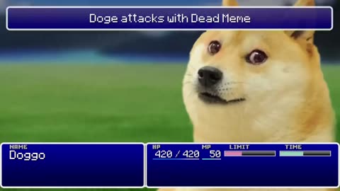 Wags = tags 🖊️🐕