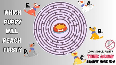 Which puppy will reach first? 🐕