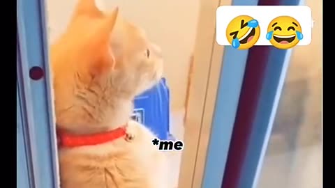 Viral