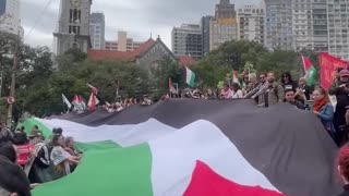 Un centenar de personas marcha a pie por Palestina en Sao Paulo