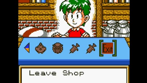 Harvest Moon 2 is still Engaging Newbie's Perspective Review