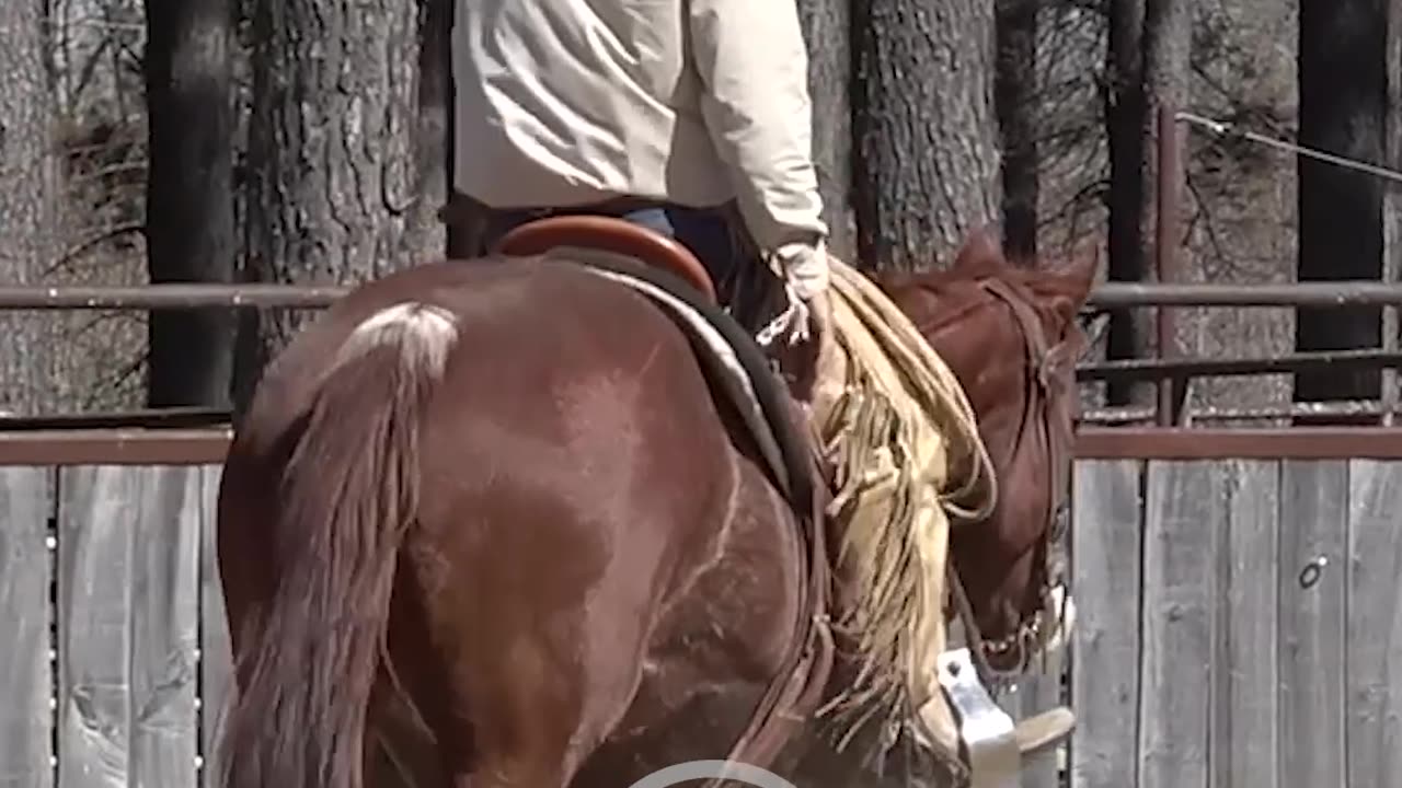 The secret to loping beautiful circles.