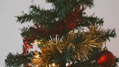 Daily Horoscope | Sagittarius 🌟