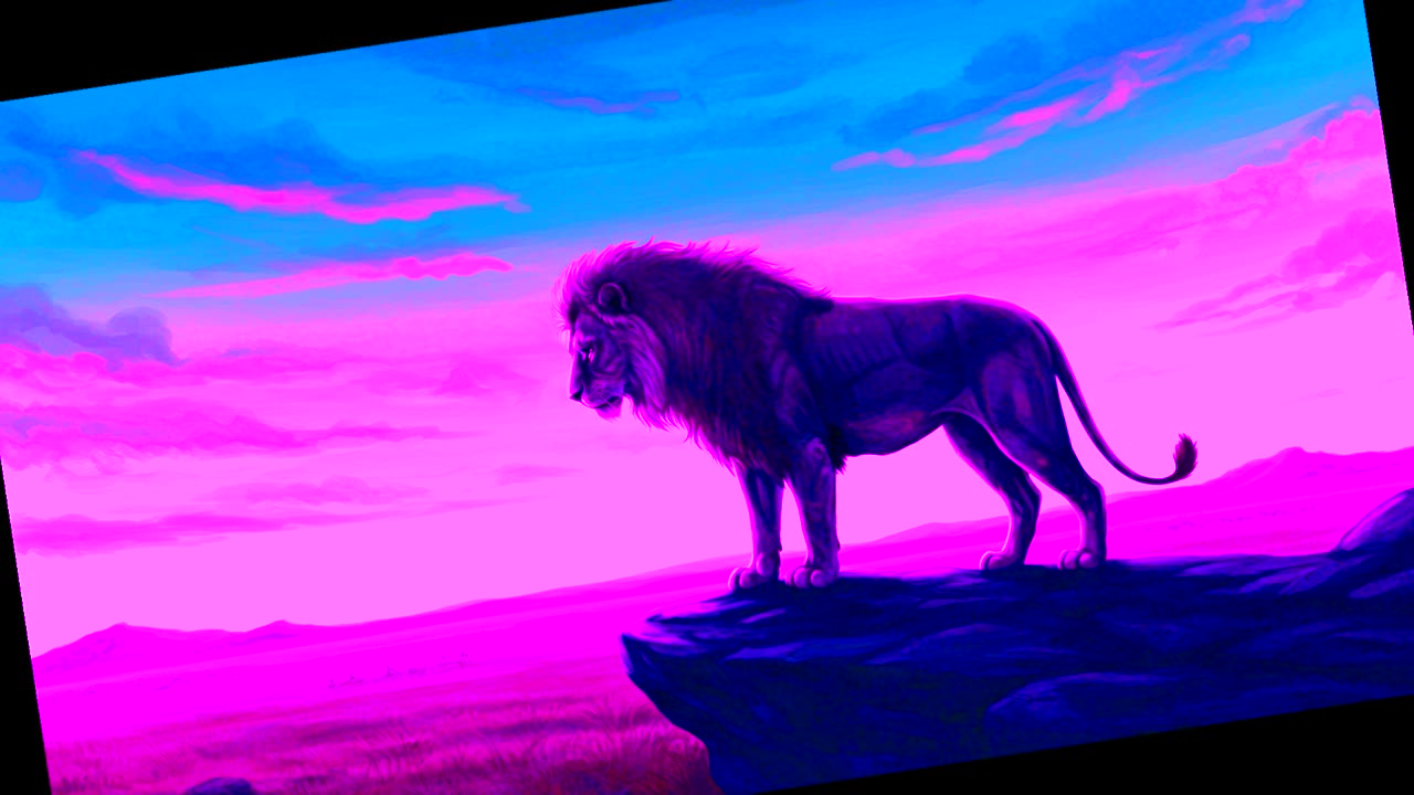 Paralyzed, Alone, and Forgotten… Until One Man Saw His Worth