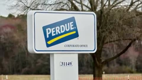 Inside The Purdue Dynasty, The Hidden Cruelty Behind America.