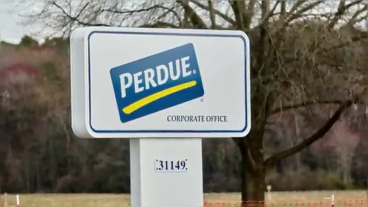 Inside The Purdue Dynasty, The Hidden Cruelty Behind America.