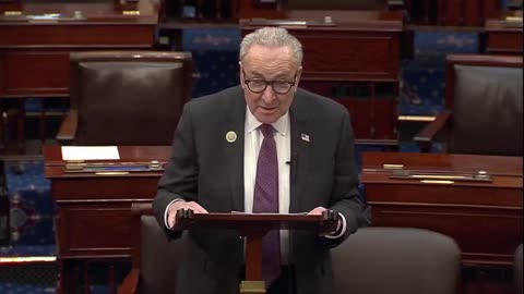 Chuck Schumer Is a traitor