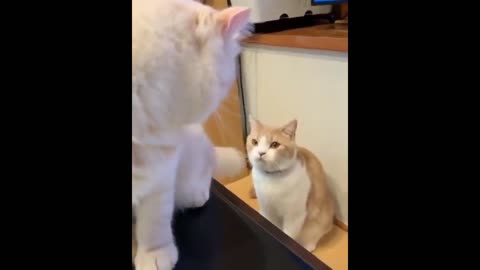 Annoying killer