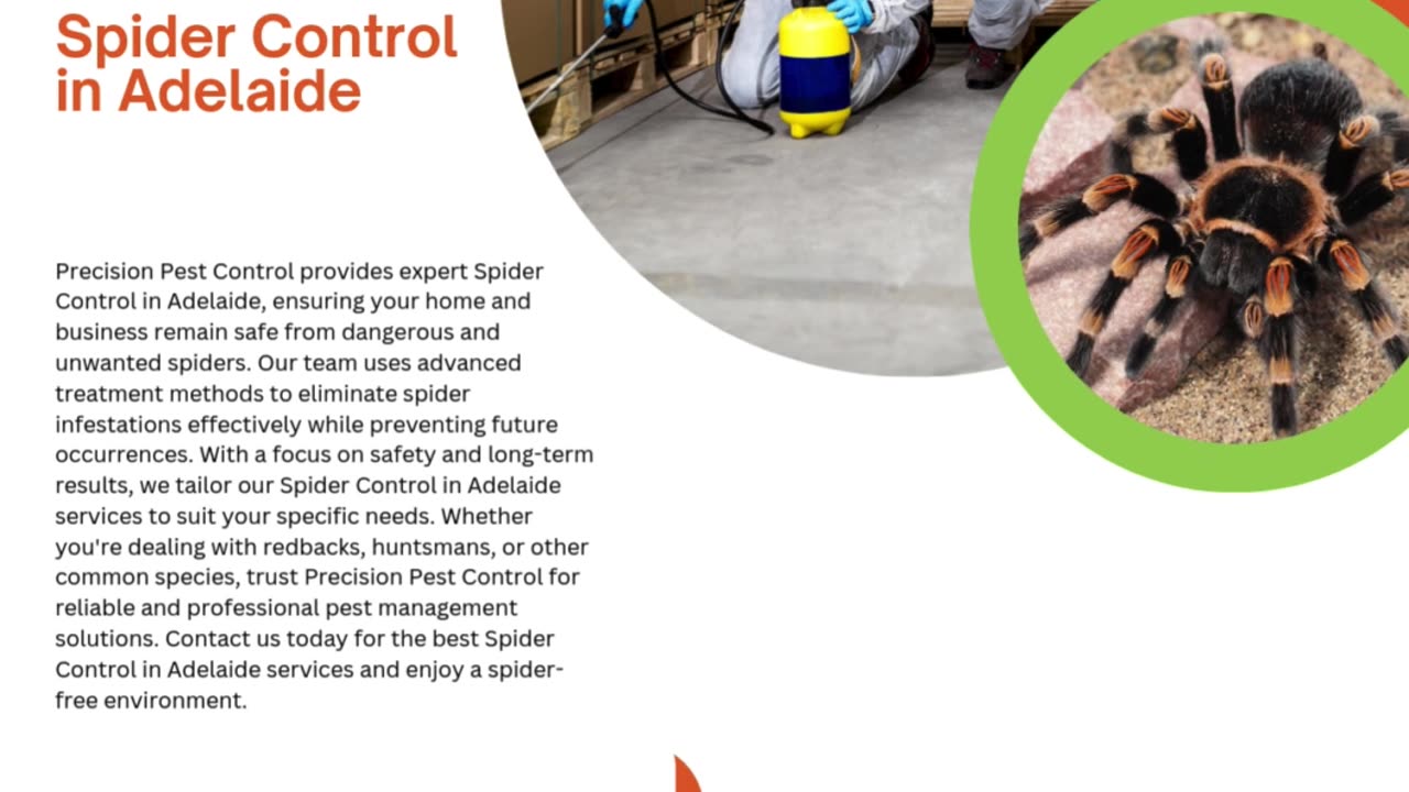 Effective and Safe Spider Control in Adelaide – Protect Your Home and Business Today