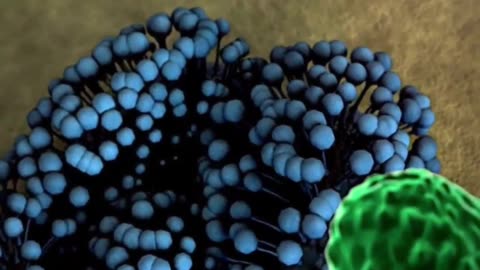 90% success in cancer healing