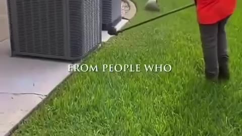 SO TRUE IN SO MANY WAYS