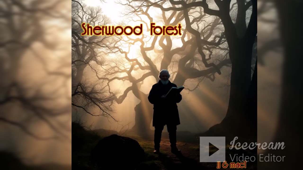 Sherwood Forest