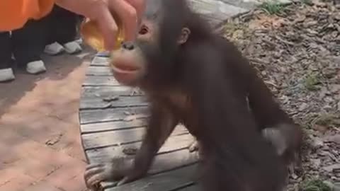 Very funny videos 😂