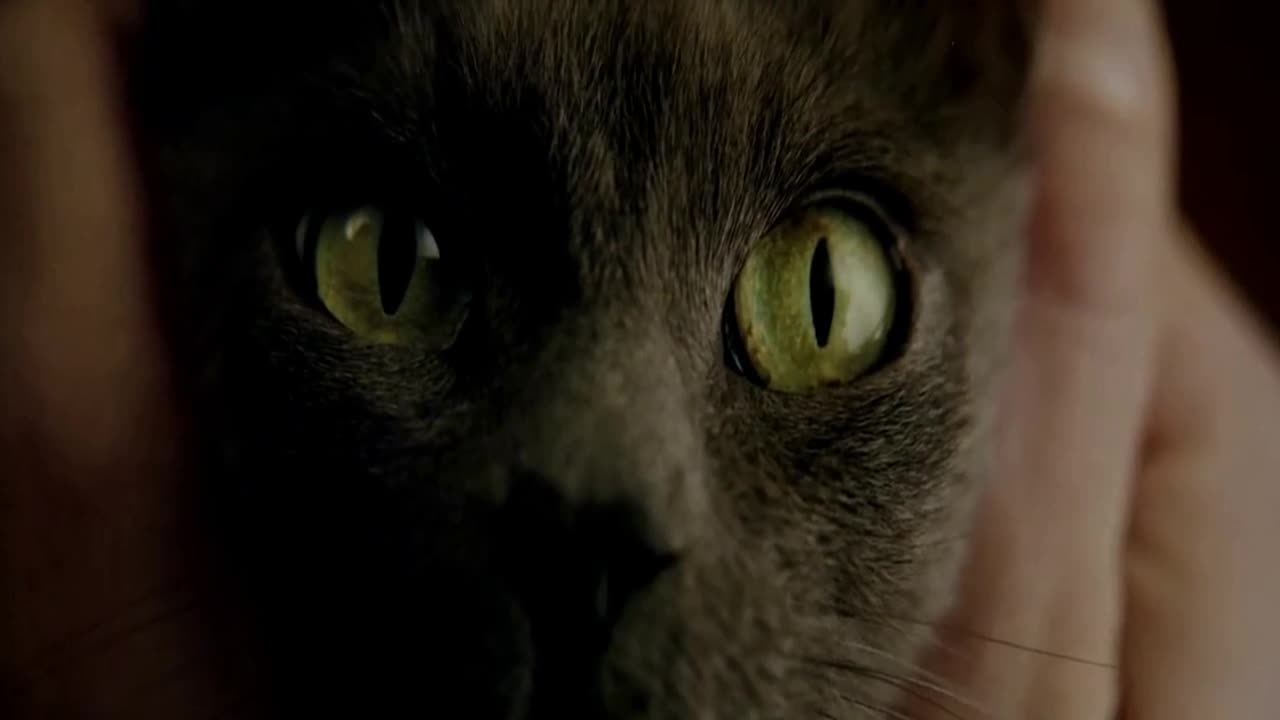 Glitter & Gold Barns Courtney