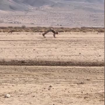 What REALLY goes on in the military