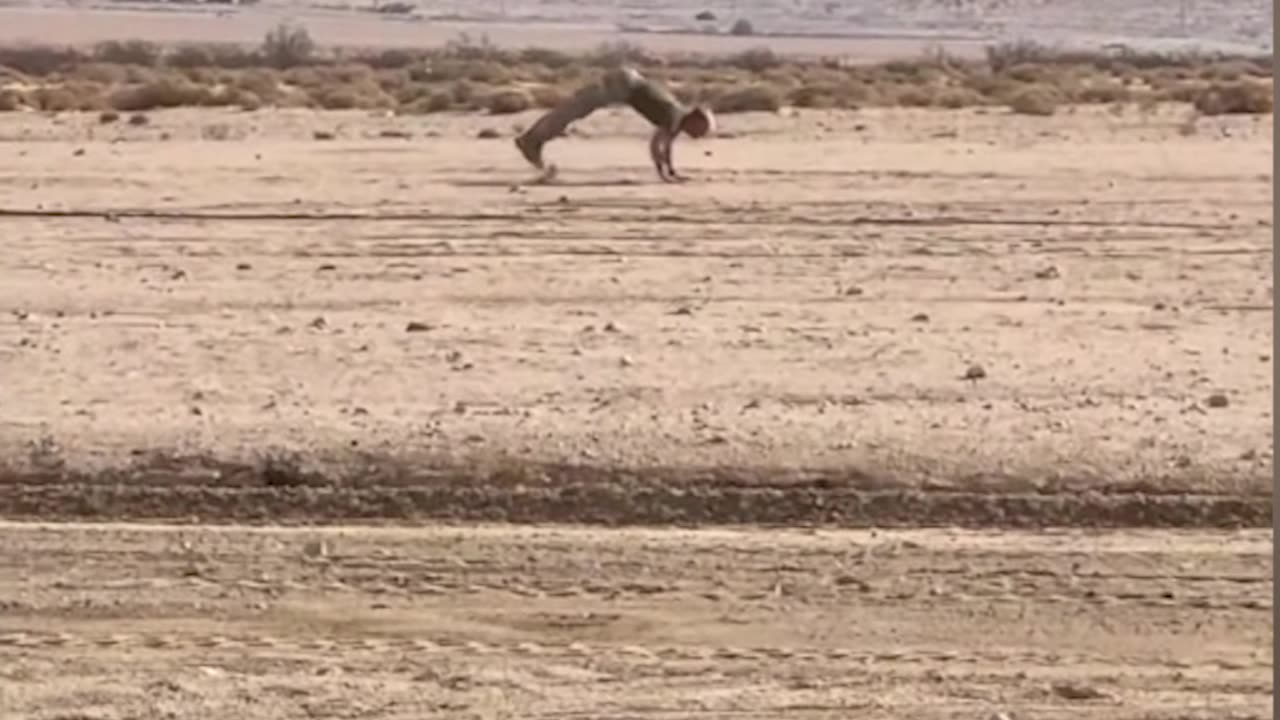 What REALLY goes on in the military