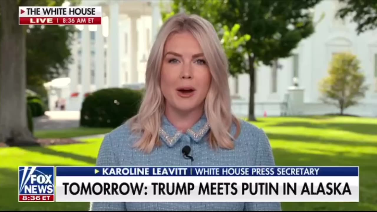 Karoline Leavitt call out Bolton for making a disgrace of himself