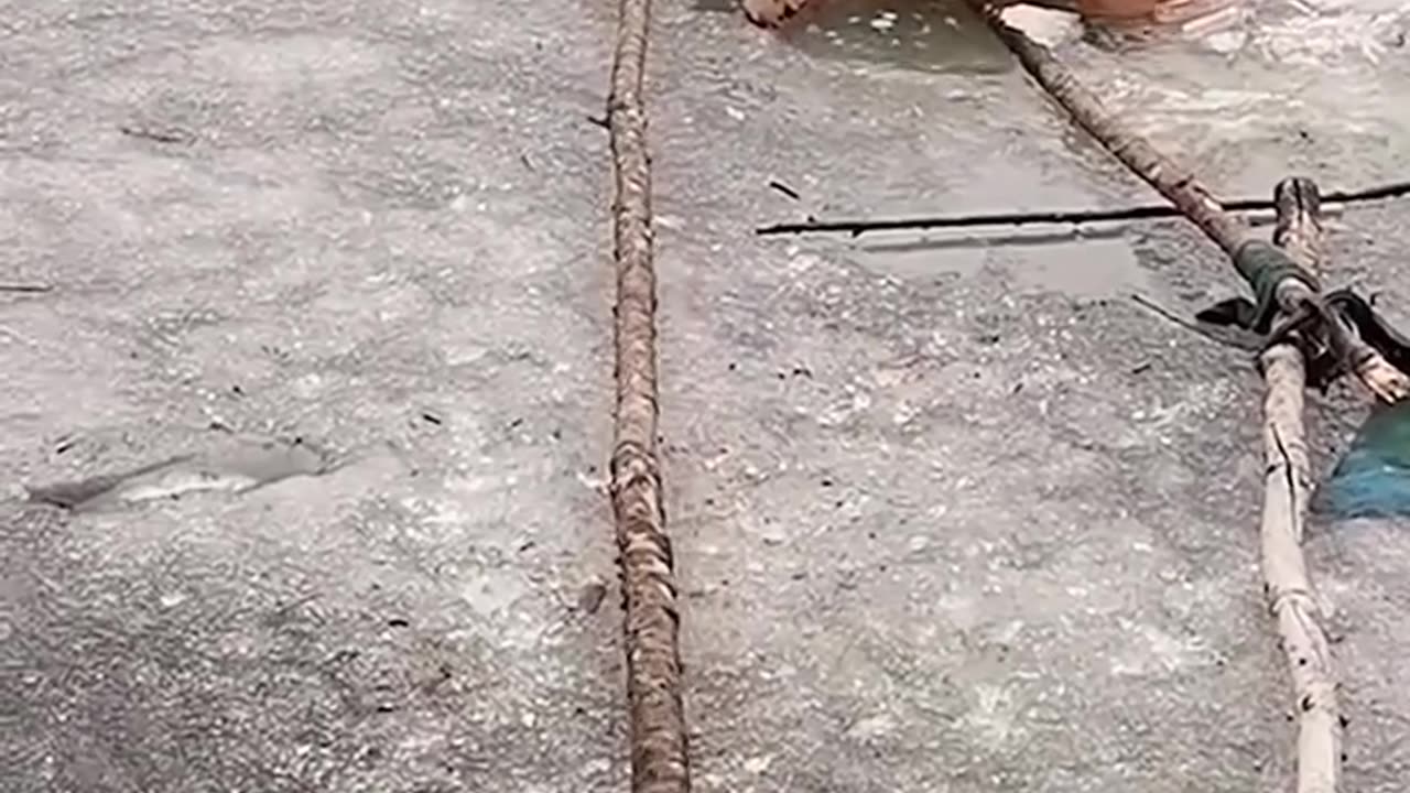 Rescuing a dog from the cold waters of a frozen lake!.hd