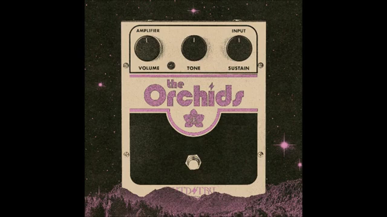 The Orchids - The Orchids