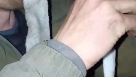Russians Drinking Puddle Water Filtered Through Dirty Sock