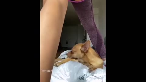 Funny Videos | Try Not To Laugh Challenge Part 1