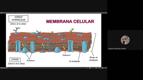 PAMER SEMESTRAL 2023 | Semana 03 | Biología: Citología I